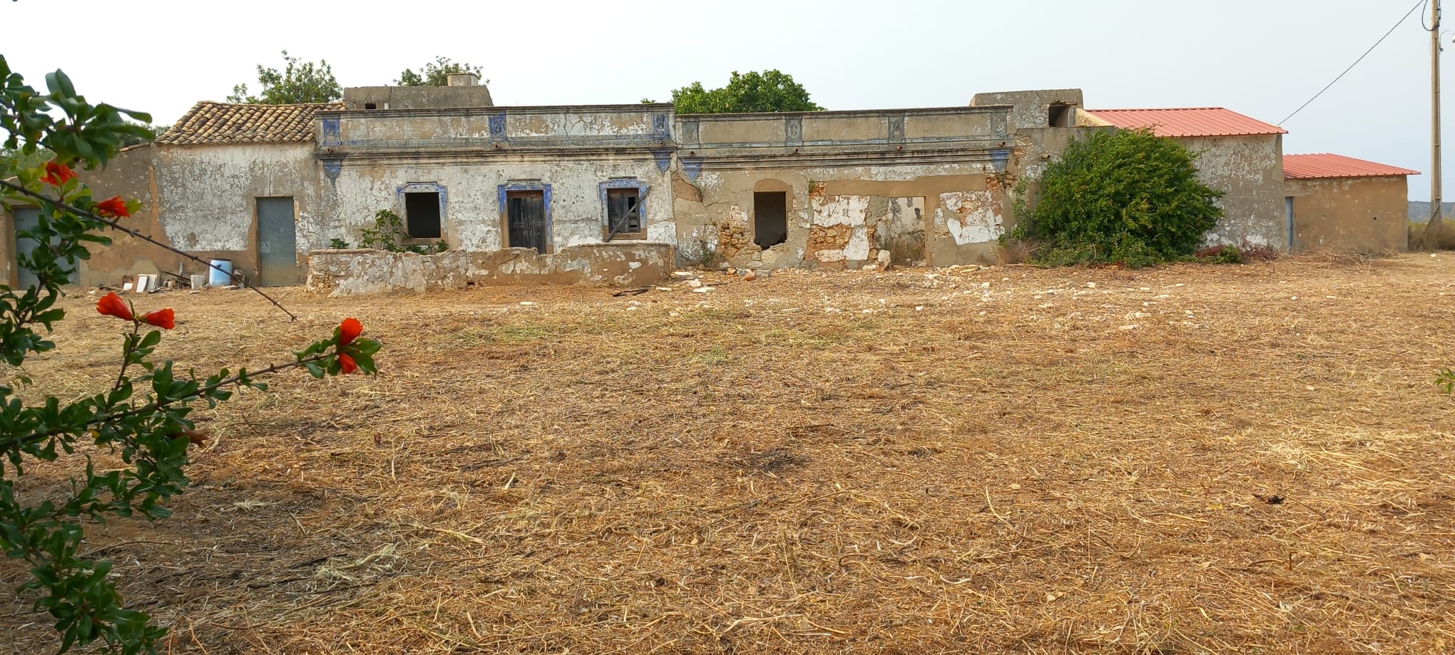 TH2023206, Three old houses on a large plot 